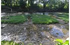 Property photo 33 - REAL ESTATE AUCTION - 26+/- ACRES IN 3 TRACTS IN SOUTHWEST ALLEN COUNTY, INDIANA